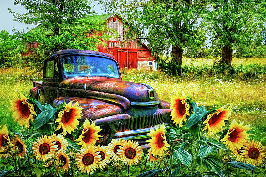 Rusting Within The Sunflowers, digital, barn, sunflowers, rusty, graph, collage, truck HD wallpaper