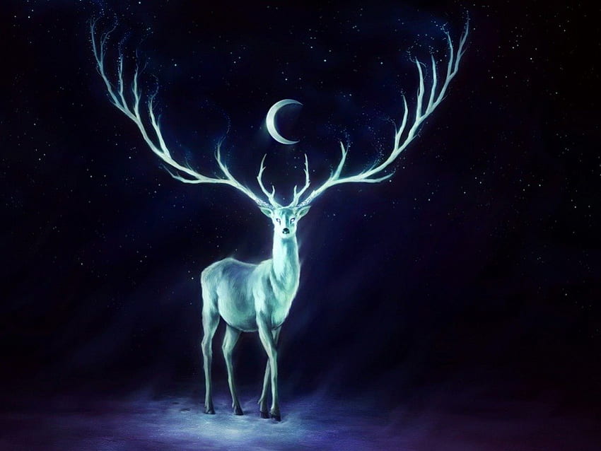 Deer Under the Moon, animal, horn, moon, deer HD wallpaper
