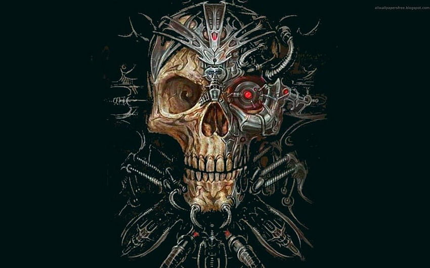 Skull In, Prajurit Tengkorak Wallpaper HD