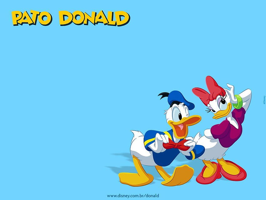 Donald Duck Best - Daisy Duck X Donald -  HD wallpaper | Pxfuel