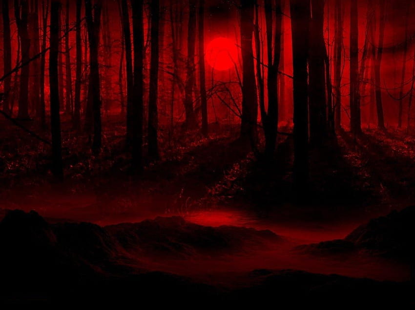 Bosque rojo oscuro fondo de pantalla