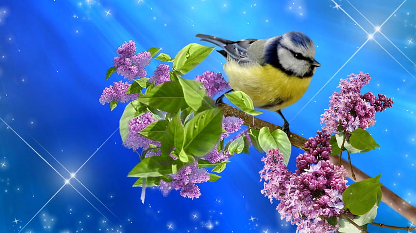 ~*~ Птица ~*~, синьо, природа, цветя, птица HD тапет