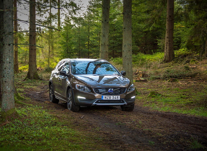 Volvo, Autos, Wald, Vorderansicht, V60 HD-Hintergrundbild