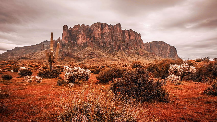 Superstition Mountains, Arizona, clouds, desert, landscape, sky, rocks, cactus, usa HD wallpaper