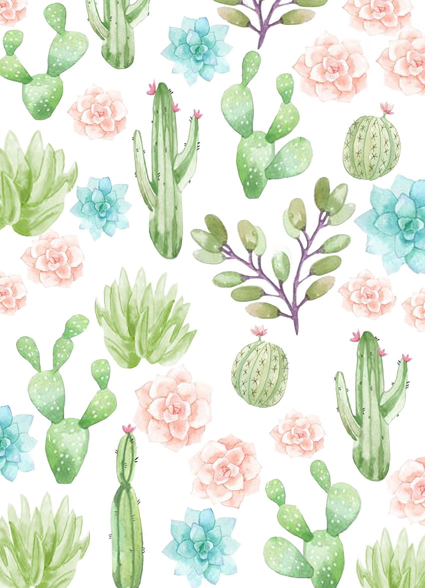 ꕤ∣ᴮᵞᵛᴵ·⁴·ᵞᴼᵁ∣ꕤ. iPhone background art, Succulents , Cactus background, Cactus Print HD phone wallpaper