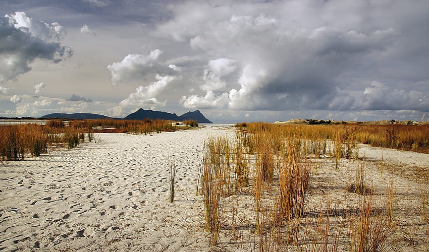 gray sand with brown grass under cloudy sky HD wallpaper