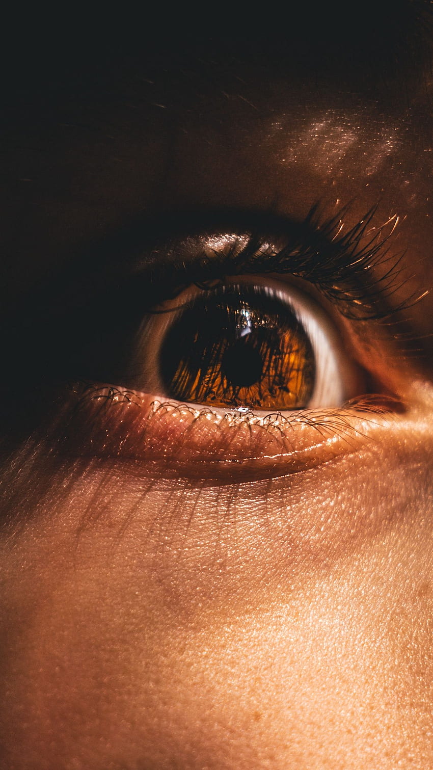 Premium Photo | Eye iris and pupil 3d rendering background