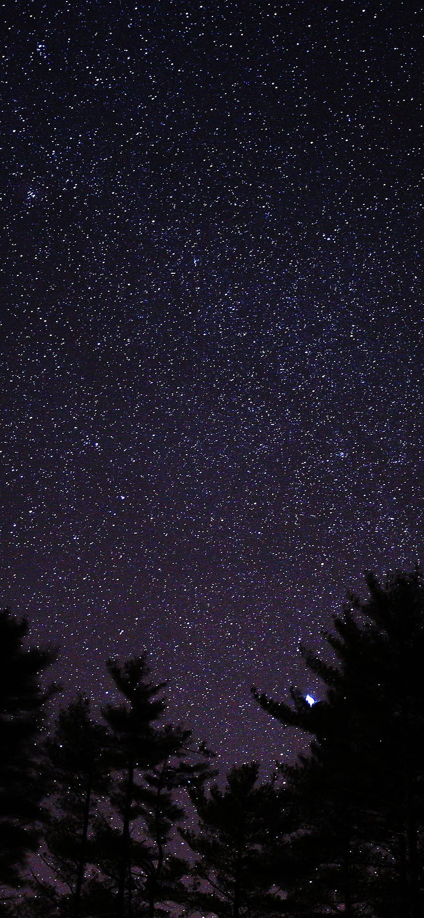 iPhone11 . night sky star space starry wood dark blue, Night Sky Space HD phone wallpaper