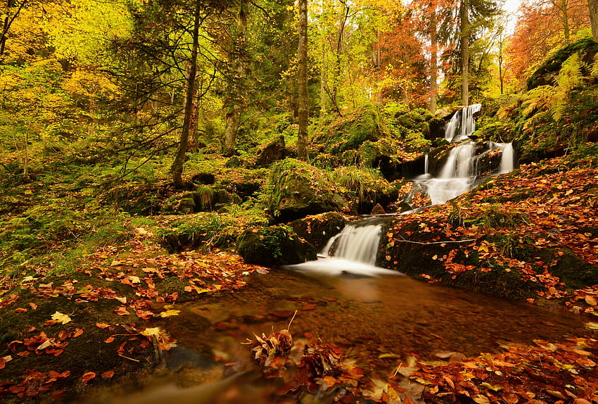 Jesienny las, Las, Jesień, Drzewa, Francja, Kaskada, Góra Tapeta HD