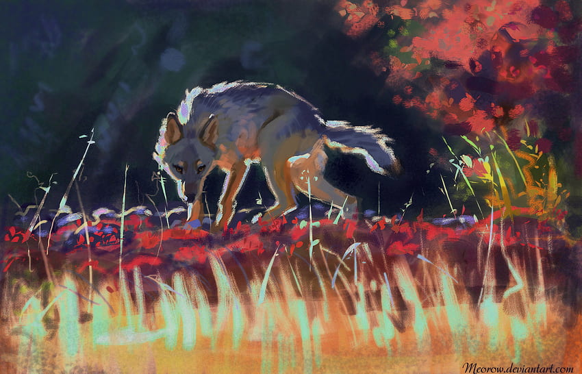 Grass, Art, Predator, Wolf, Wildlife HD wallpaper