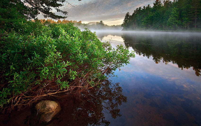 Природа, реки, дървета, отражение HD тапет