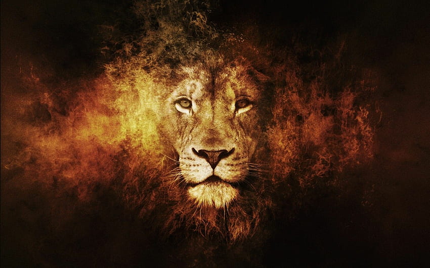 Cool Lion : , , for PC and Mobile. for iPhone, Android HD wallpaper