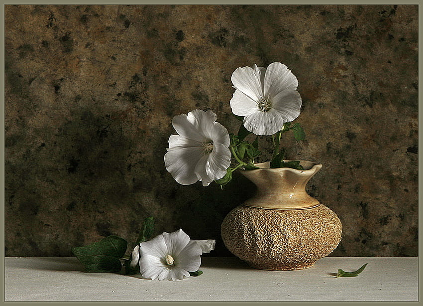All Natural, white, bouquet, floral, soft, vase, earthy, stoneware, browns, petals, flowers, display HD wallpaper