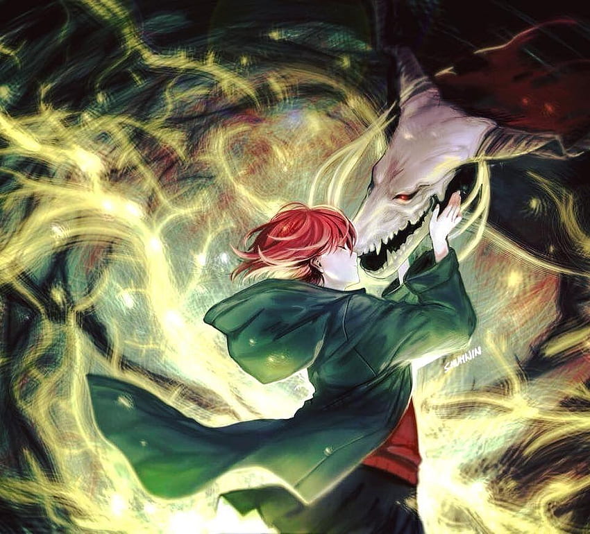 Download 480x800 wallpaper Mahoutsukai no yome, Chise Hatori