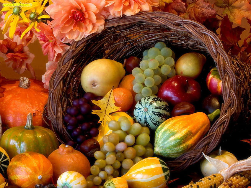 Autumns_Yield, basket, color, nature, flowers, fruits HD wallpaper