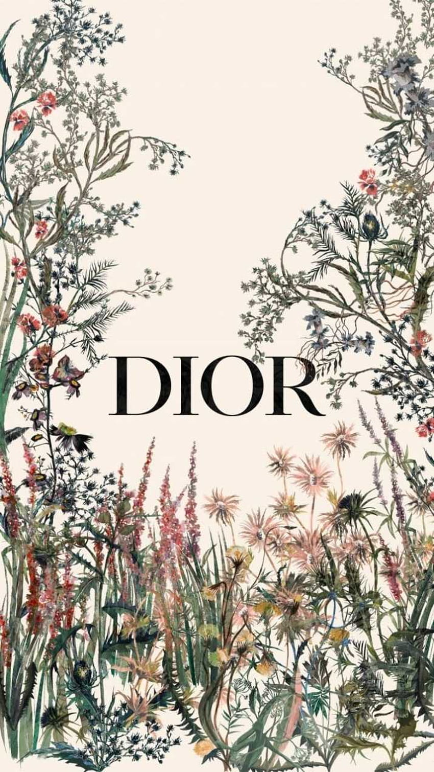 Dior - Génial, Dior Esthétique Fond d'écran de téléphone HD