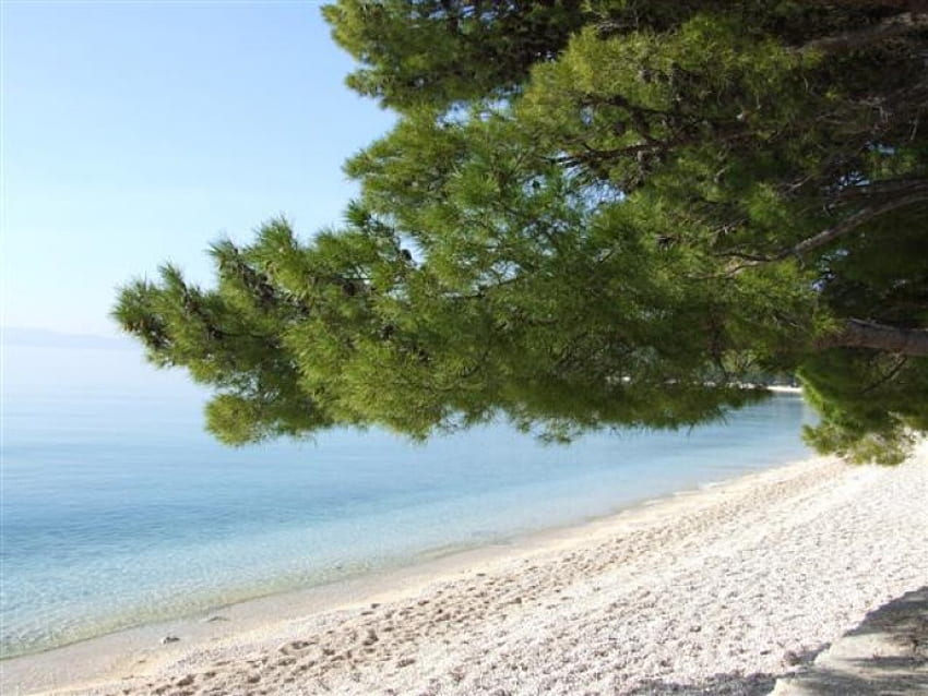 Adriatic sea, Croatia, blue, hollydays, adriatic sea, summer, sand, more, beaches, croatia HD wallpaper