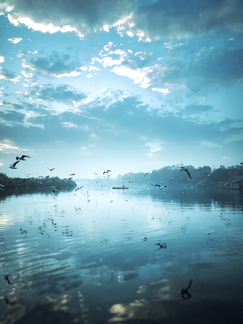 Nature, Birds, Rivers, Sky, Reflection, Boat, Flock, Fly, To Fly HD phone wallpaper