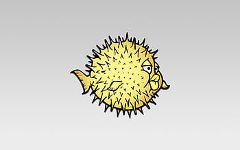 Blowfish Wallpaper Design Ideas