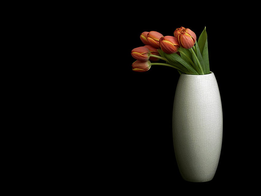 Tulips for Tedisoo, vase, black background, tulips, tangerine HD wallpaper