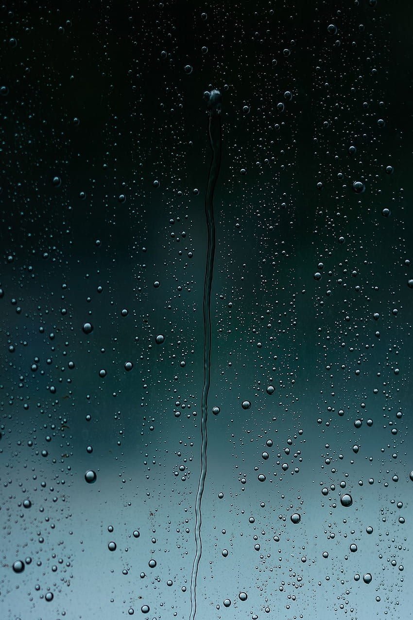 Raindrops + Glass. 63 best raindrop, glass, rain and window on Unsplash, Raindrops On Glass HD phone wallpaper