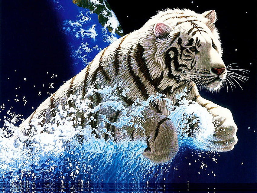 Fire Cool Tiger, Flame Tiger HD wallpaper