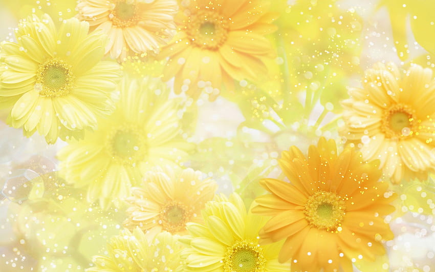 Background Of Flowers, Pastel Yellow Floral HD wallpaper | Pxfuel
