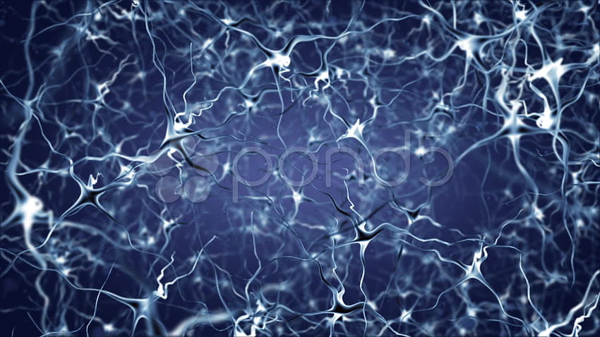 Neural . Intelligenz künstliche neuronale Netze, neurale und neuronale Schaltkreise, Gehirn-Neuron HD-Hintergrundbild