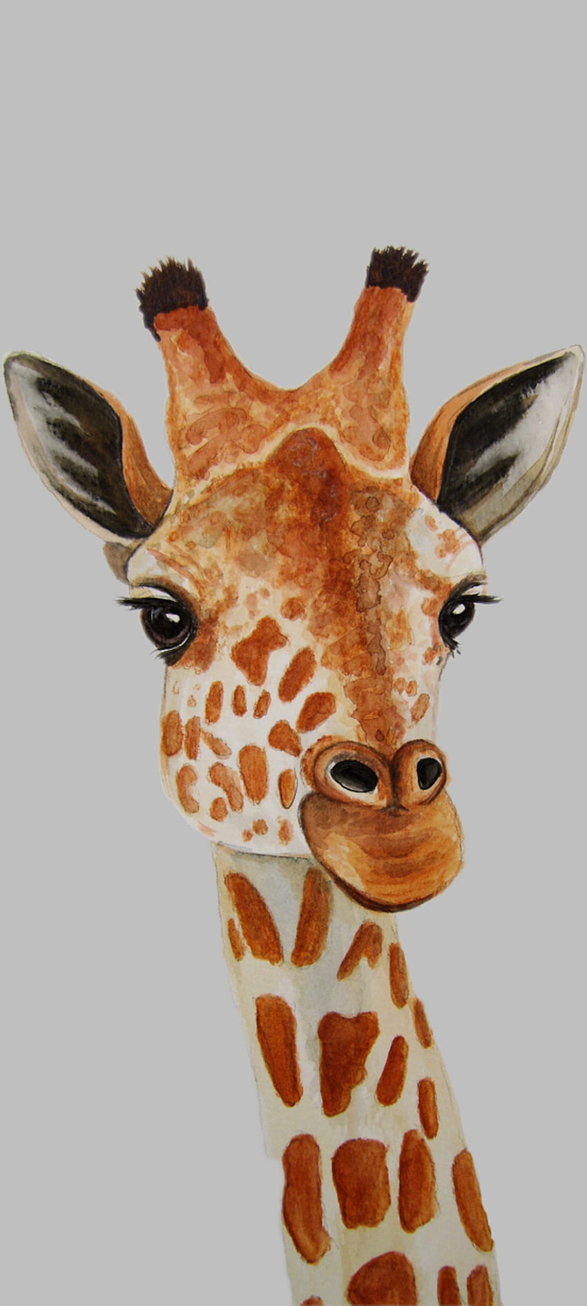 Pareja de jirafas | Giraffe pictures, Giraffe, National geographic animals