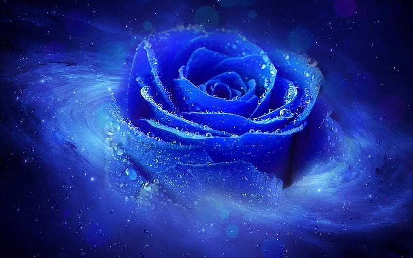 Attractive Ice Blue Blue Rose, Dark Blue Rose Abstract HD wallpaper