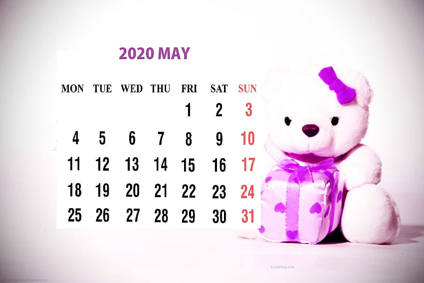 Lindo calendario imprimible 2020 para el calendario anual, calendario de mayo de 2020 fondo de pantalla