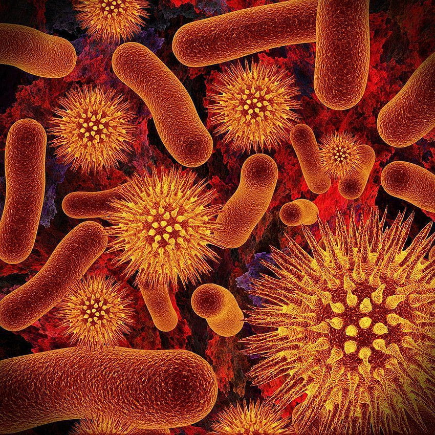 Bakteri wallpaper ponsel HD