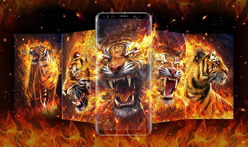 Flame Tiger for HD wallpaper | Pxfuel