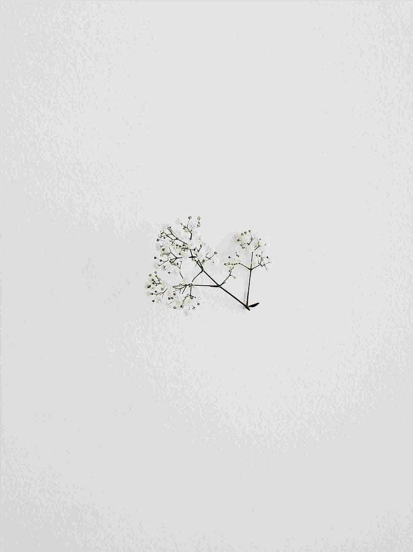 10 Amazing Free Minimalist Wallpaper Downloads for iPhone X  White  wallpaper for iphone Minimalist wallpaper Minimalist photography