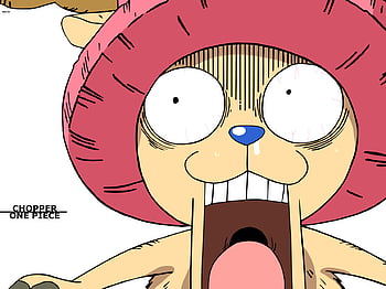 Chopper bounty HD wallpapers