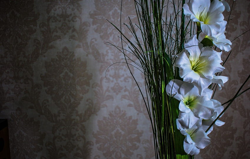 flowers, white, gladiolus for , section цветы - HD wallpaper