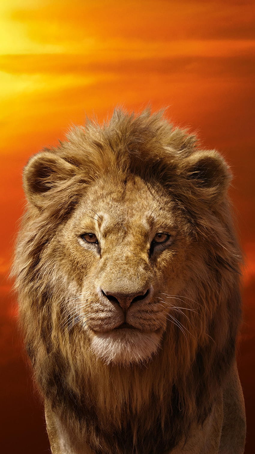 Telepon Raja Singa (2019). Moviemania. Raja singa , Singa, poster raja singa, Mufasa Lion King wallpaper ponsel HD