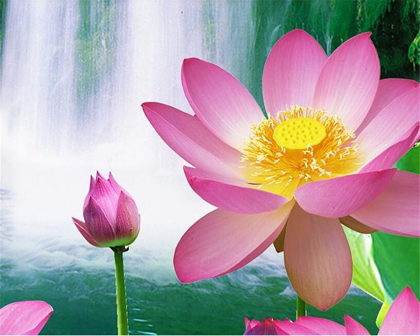 Beibehang 3D naturaleza pintura bambú loto bienvenida pino paisaje agua TV pared mural 3D. . - AliExpress fondo de pantalla