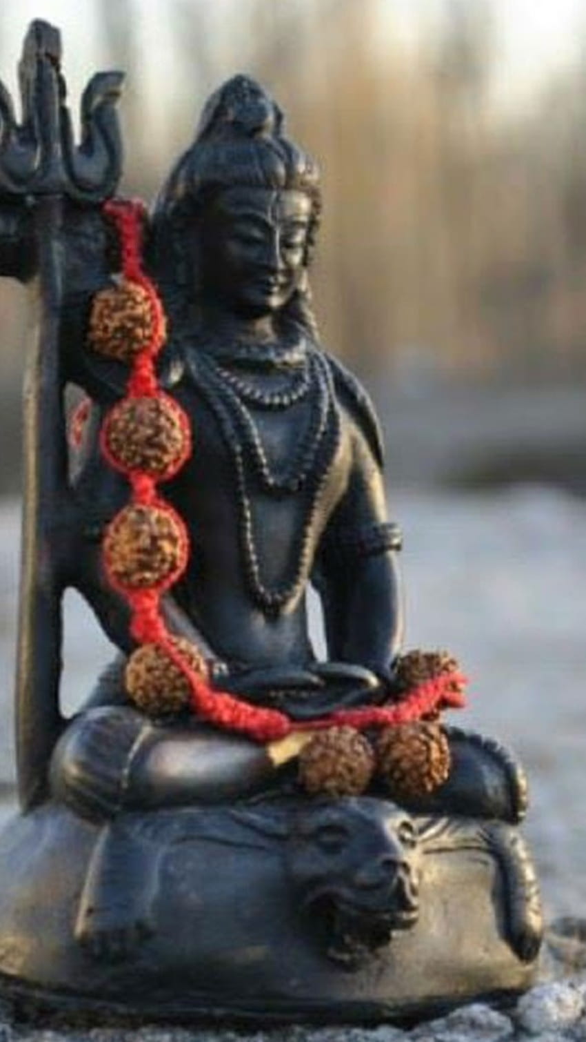Mala - Rudraksha - Large - 54 Beads