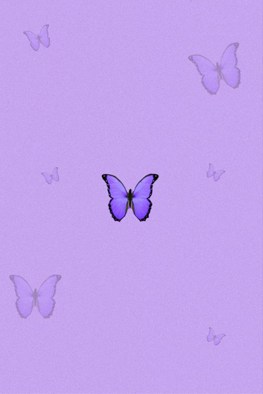 Aesthetic purple butterfly, Cute Purple Butterfly HD phone ...