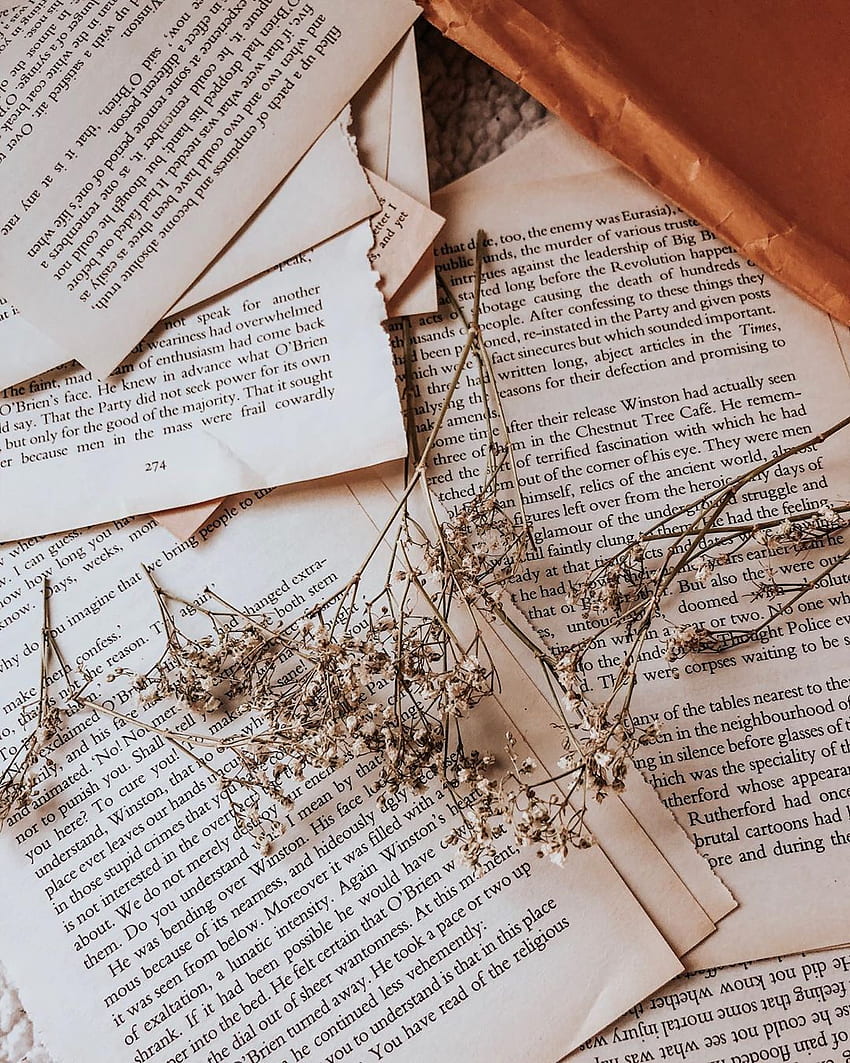bretagne ⋆ livres & esthétique sur Instagram : « Fond d'écran de téléphone HD