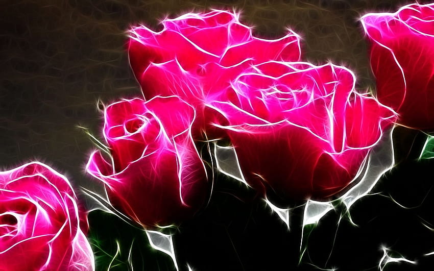 Roses Hot Pink Roses and background [] for your , Mobile & Tablet. Explore Black Pink Rosé . Black Pink Rosé , Pink and HD wallpaper