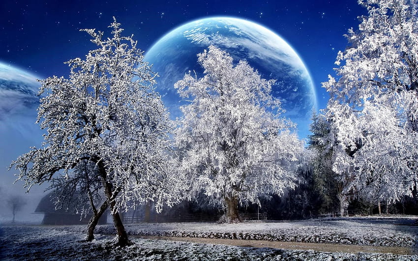 Winter Solstice Background  Images HD Free Download  Templatenet