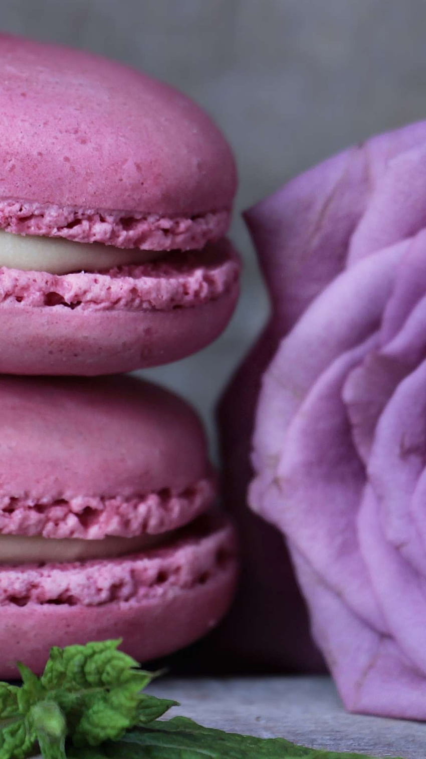 Purple Macaron, Cute Macaroon HD phone wallpaper | Pxfuel