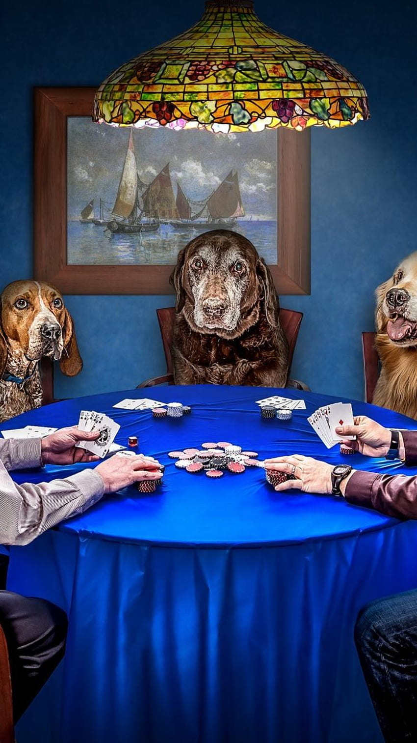 Free download Dogs Playing Poker Wallpaper 1500x1216 for your Desktop  Mobile  Tablet  Explore 70 Dogs Playing Poker Wallpaper  Poker Wallpaper  Playing Cards Wallpaper Poker Wallpaper Border