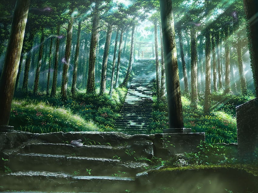 kreskówki hayao miyazaki totoro mój sąsiad totoro studio graficzne ghibli anime manga wal – Nature Forests Tapeta HD