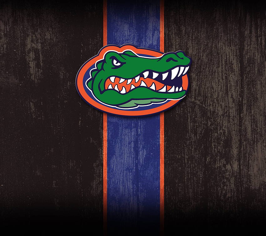 Florida Gators, Florida Gators Logo HD wallpaper