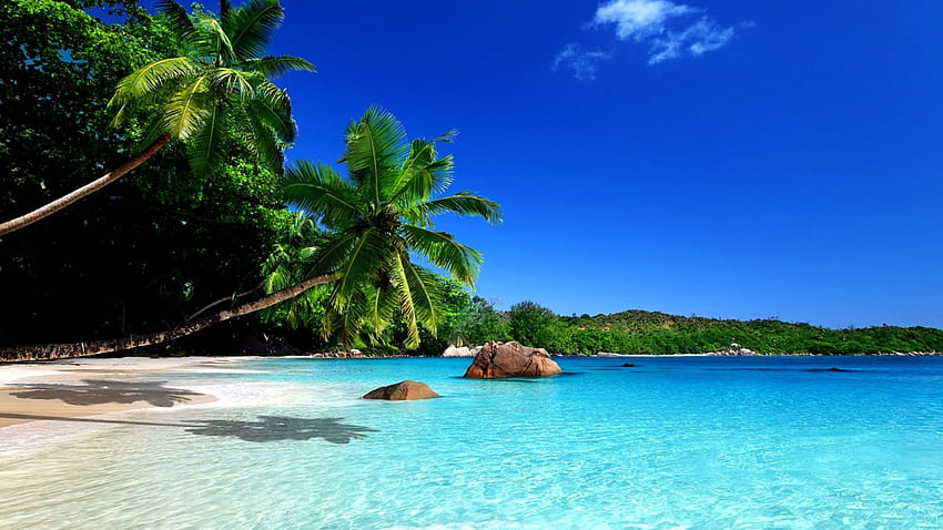 Син рай, син, рай, природа, плаж HD тапет