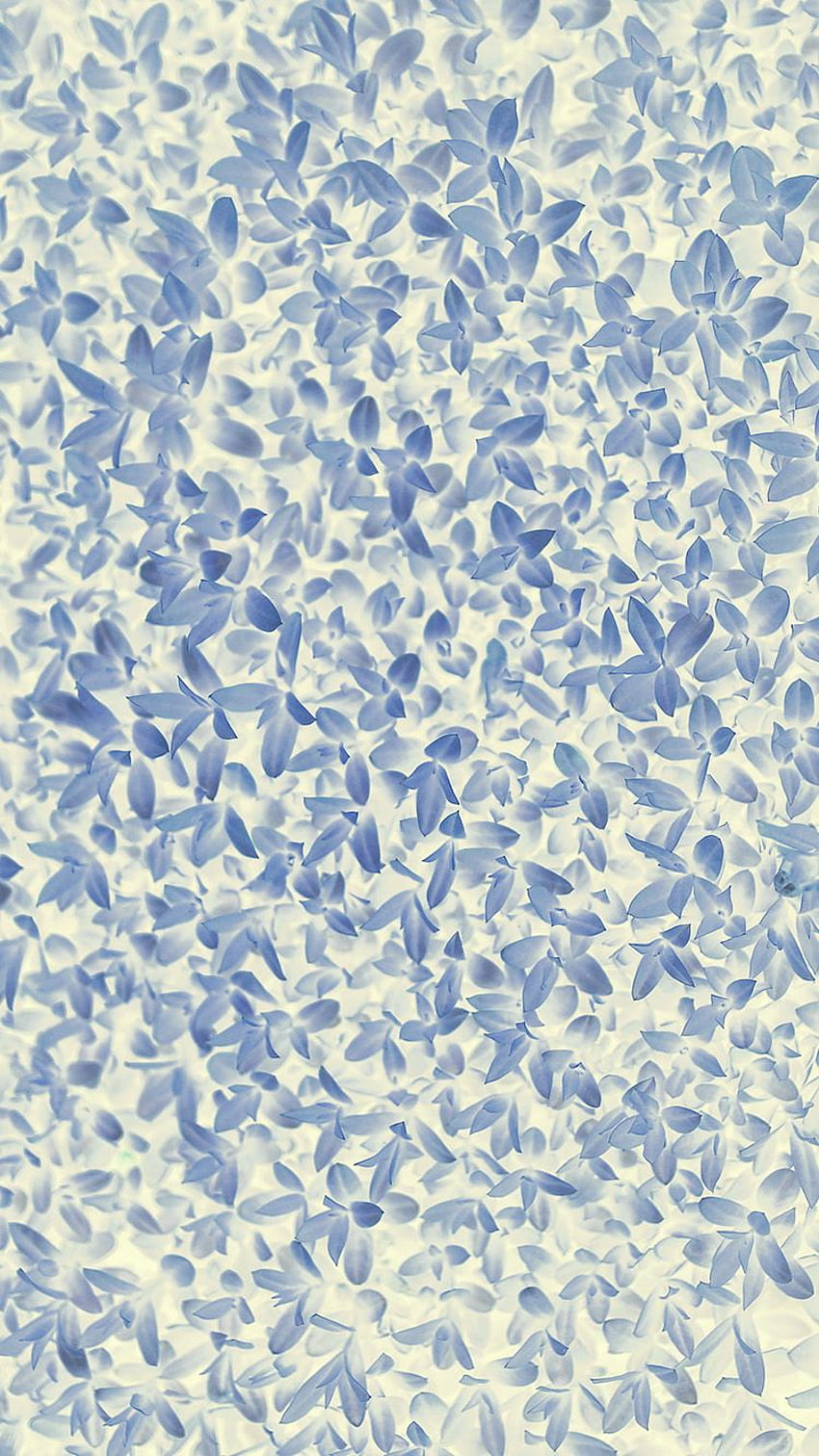 Nature Blue White Leaf Grass Garden Flower Pattern HD phone wallpaper