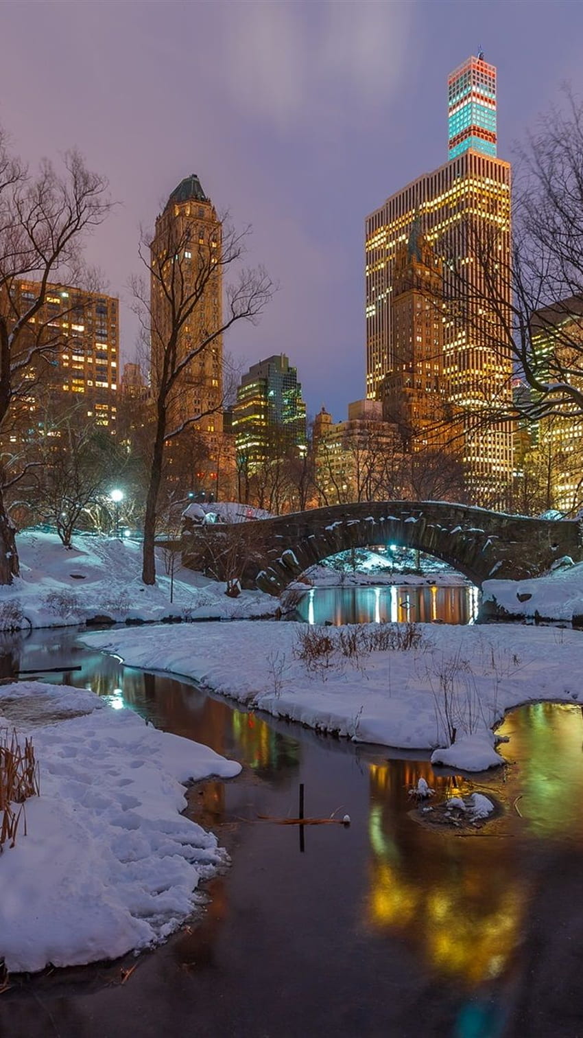 New York, Central Park, snow, trees, river, skyscrapers HD phone ...